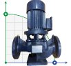 IRG BGL 65-200 (25/50), 7,5kW, 2880 насос центробежный вертикальный