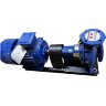 BTKF 65-200, 22 kW - pompe d'extinction monocellulaire en porte-à-faux (3000)