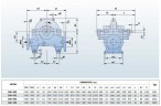 BSC 300-300A/B, (3000) - насос двустороннего входа