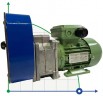 Peristaltic pump MP-8086.16, 364 l/h, 0,09 kW