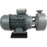 Plastikowa pomDiaPump PA chemiczna do kwasów DiaPump PA2150 PP, 1,5 kW, 3000 obr/min, 380V