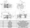 Vacuum pump Zinisan ZYVP-175/4.0 oil single-stage