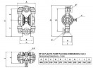 DP 20 PP/V - PB/V - Pneumatic Membrane Pump