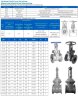 DN200 PN16 Wedge flange valve made of stainless steel 30nzh41nzh, GOST
