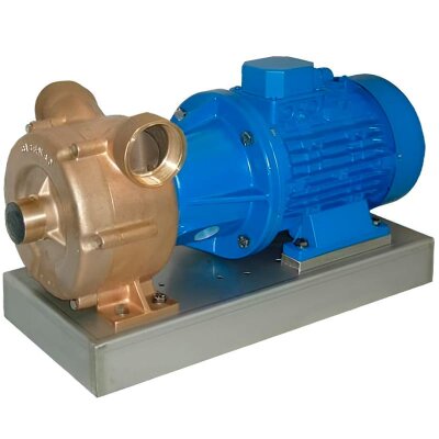 Flüssigkeitsringpumpe zum Entleeren von Bilgen LIVERANI EP 70, 500 l/min, TF/M 7,5 kW, 1400 U/min, 380 V, Bronze