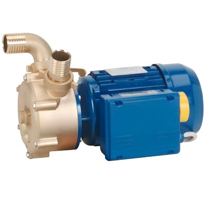 Flüssigkeitsringpumpe zum Entleeren von Bilgen LIVERANI EPH 20 + BY-PASS, 29 l/min, MF/L 0,22 kW, 2800 U/min, 220 V, Bronze