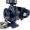 Bomba centrífuga monobloque BST 50-125/3, 3000