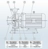 BGWHB 300-400C (561/33), 75kW, 1480, Ex - pompa ze stali nierdzewnej pozioma