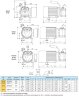 Flüssigkeitsringpumpe zum Entleeren von Bilgen LIVERANI EP 25 + BY-PASS, 60 l/min, MF/M 0,45 kW, 2800 U/min, 220 V, Bronze