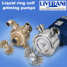Flüssigkeitsringpumpe zum Entleeren von Bilgen LIVERANI EP 30 + BY-PASS, 75 l/min, MF/I 0,75 kW, 1400 U/min, 220 V, Bronze