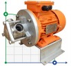 Impellerpumpe zum Pumpen von Melasse AlphaDynamic AD20.1/01 0,55 kW
