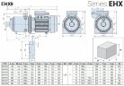 Горизонтальный многоступенчатый насос для повышения давления EHX 9/2, 0,75 кВт, 14,4 м3/ч, 23,5м, 220V/M, AISI 304 (EBARA MATRIX)