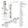 Multistage pump CDLF 85-50, AISI 304