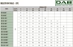 DAB CP2-G 50-4400/A/BQQE/7.5 IE3 Umwälzpumpe, 60215296