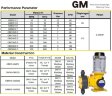 GM25/1,0, PVC, 380 V Pompe doseuse à membrane IIBT4