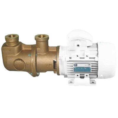 Bomba de tornillo de bronce para bombeo de líquidos viscosos y oleosos LIVERANI MO-B 44 MF 0,55 kW, 1400 rpm, 220 V
