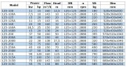 BGW 125-100 (160/12,5), 11kW, 2880 насос центробежный горизонтальный