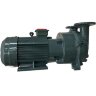 Bomba de vacío 2BV5121 (AISI 316)