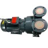 Bomba de vacío 2BV5121 (AISI 316)
