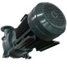 Bomba de vacío 2BV5121 (AISI 316)
