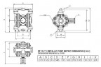 DPX 10 AL/T-V - Pneumatic Membrane Pump