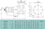 Шестеренчатый насос для нефтепродуктов, топлива EMSE EDP-I 2 дюйма, 8,2-13,1 м3/ч с внутренним зацеплением, без двигателя
