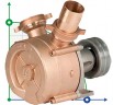N 50 Pumpe mit Riemenscheibe