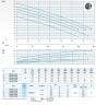 Tauchpumpe Dreno ATH-EX 80-2/300 mit zentrifugalem Zweikanal-Laufrad