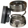 Sello mecánico para eje de bomba R-1527 22, SIC/SIC, VITON, 304, T5S43