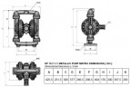 DP 15 AL/SN - AL/N - AL/B - Pneumatic Membrane Pump