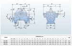 BSC4 350-590A, (1500) -  pompa z podwójnym wejściem