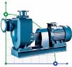 Selbstansaugende Pumpe für das Pumpen von Wasser aus Seen BZWM125-120-20/4, 15kW, 1450