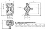 DP 10 PVDF/V - pneumatische Membranpumpe