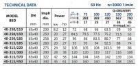 Sistema de riego diésel BSD 40-315/185