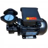 Вихревой масляный насос WM-033S, 220V, -30°C+200°C