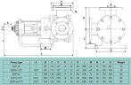 Bomba de engranajes para betún EMSE EDP-I 2 1/2 pulg., 25 m3/h, 3 bar, 4 kW, 500 rpm, 380 V, 50 Hz con camisa de calefacción, motor de engranajes