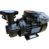 Wirbelölpumpe WM-10, 380V -30°C+200°C