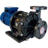 Bomba de accionamiento magnético QHX-F-251CSE-5V38AFAA, PPH, 117L/min, 20m, 0,75kW, 380V