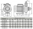 Pompe en acier inoxydable DWO B500/2,2 T, 380V/50Hz, INOX pour laver le poisson, les fruits, les légumes