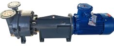 Vakuumpumpe 2BV6161 Ex (AISI 316)
