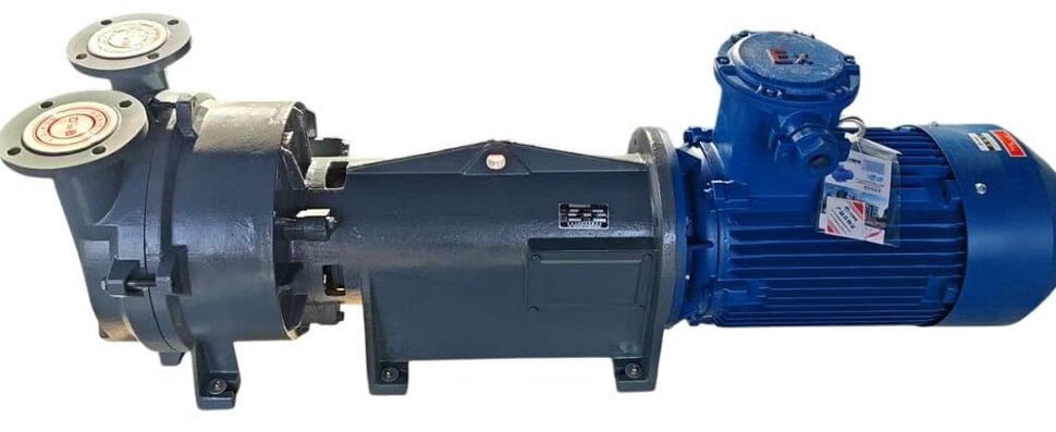 Vakuumpumpe 2BV6161 Ex (AISI 316)
