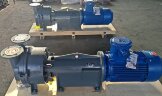 Vakuumpumpe 2BV6161 Ex (AISI 316)