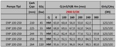 Einstufige Konsolenpumpe ENP 100–250, 55 kW, 2900 U/min auf Rahmen mit Motor