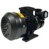 Pompe à huile vortex WM-20, 380V -30°C+200°C
