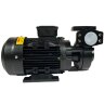 Pompe à huile vortex WM-20, 380V -30°C+200°C