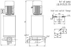 Pionowa pompa oleju termalnego do podgrzewania bitumu LQLRY25-25-170/2-CEX, 4 m3/h, 32 m, 1,5 kW, 2900 obr/min, Ex