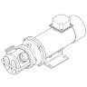 Pompe à vortex à anneau liquide LIVERANI EP JUNIOR 1 1/4, 58 l/min, CC/12V, 0,45 kW, 2800 rpm, AISI 316, Seal Cer.-Grafite-Viton
