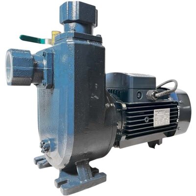 BXZm 20-32-2,2kW, 2900, 220V, imp:AISI 304 Bomba de drenaje de aguas residuales