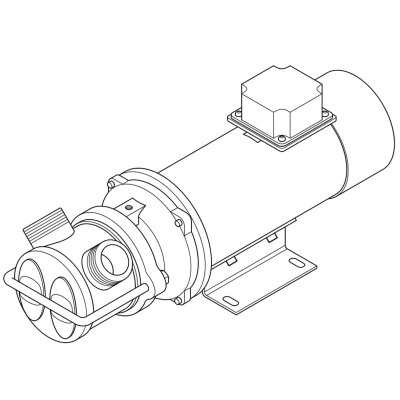 Bomba de anillo líquido para trasvase de aceite LIVERANI EP JUNIOR 1 1/4, 58 l/min, CC/12V, 0,45 kW, 2800 rpm, AISI 316, Cer.-Grafito-Epdm