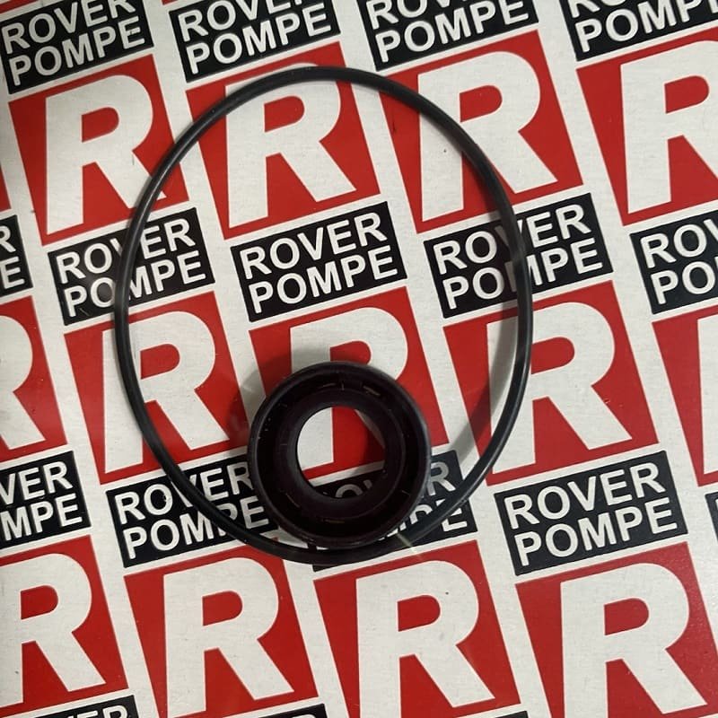 Juego de recambios de juntas de goma para ROVER POMPE BE-G 20, NOVAX G, MARINA G, NOVAX MARINA G